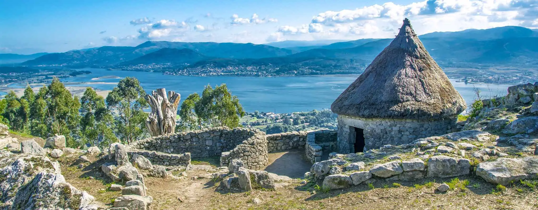 genetic test ancestry of celts visible